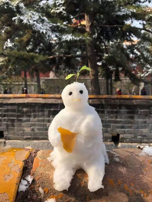 雪落京華 當北平故宮變身兔兒爺的冰雪樂園